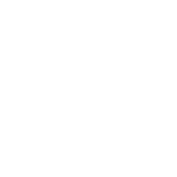 CAI Protocol logo